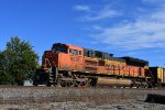 BNSF 9231 Roster shot